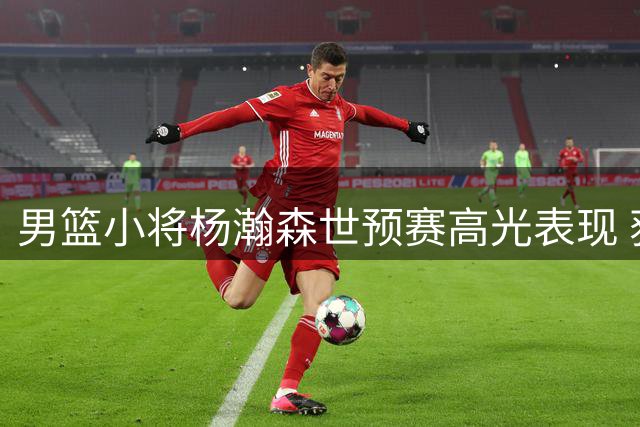 男篮小将杨瀚森世预赛高光表现 获NBA东家盛赞